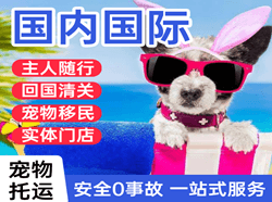 张家口机场快运国际宠物托运 【国
